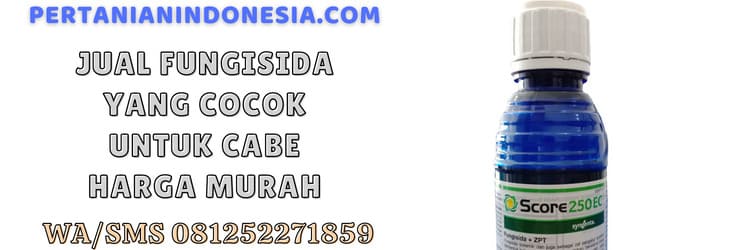jual,murah,terjangkau,jual fungisida yang cocok untuk cabe,petani